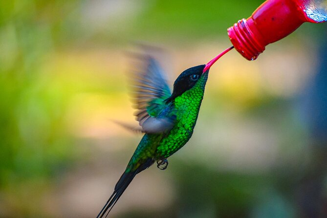 Rockland Bird Sanctuary Private Tour - Pricing and Payment