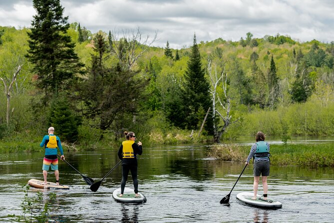 Rollerski Adventures - Equipment Provided