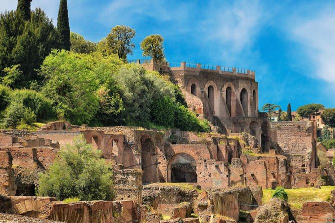 Rome: Colosseum, Roman Forum, and Palatine Hills Hosted Entry - Accessibility and Recommendations