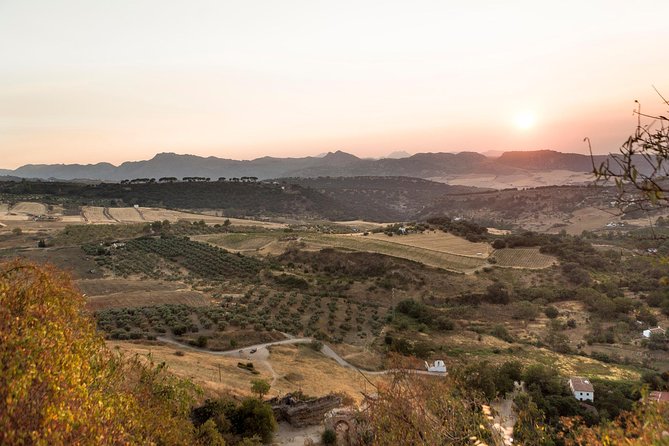 Ronda Village Guided Tour From Costa Del Sol - Meeting Points