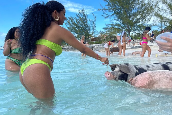 Rose Island Private Beach: Swimming With the Pigs - Confirmation and Booking Information