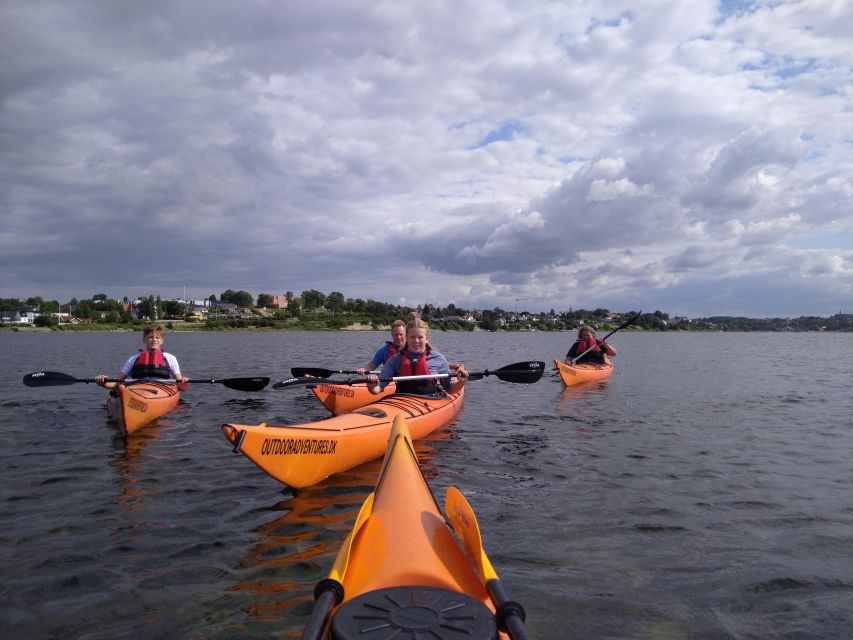 Roskilde: Guided Kayaking on Roskilde Fjord: Private Tour - Roskilde Fjords Natural Beauty