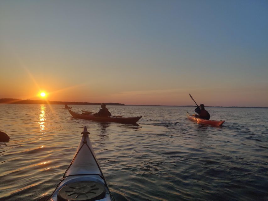 Roskilde: Guided Kayaking on Roskilde Fjord: Sunset Tour - Safety and Restrictions