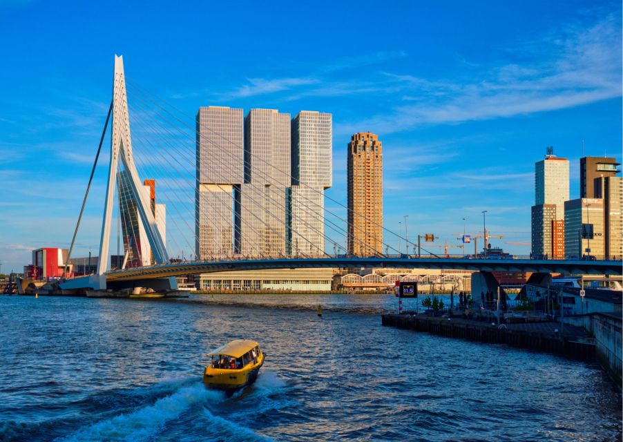 Rotterdam Highlights With Local: Walking Tour & Boat Cruise - Tour Inclusions