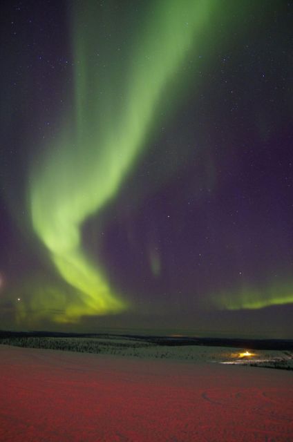 Rovaniemi: Aurora Hunting Tour By Van - Northern Lights Viewing