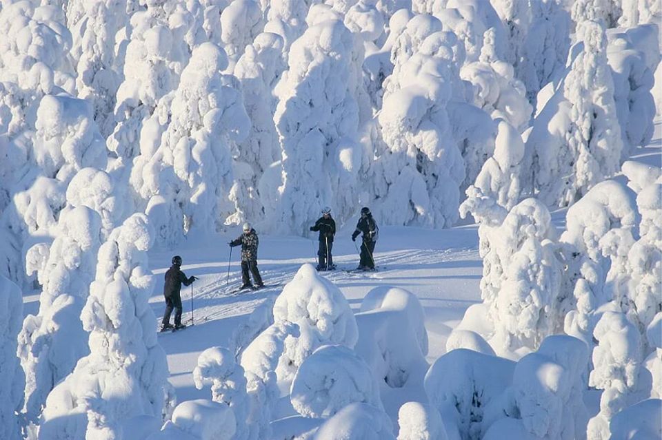 Rovaniemi: Cross Country Wilderness Ski Adventure - Exploring the Snow-Covered Forests