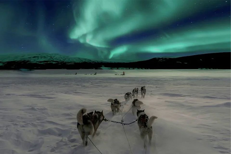 Rovaniemi: Northern Lights and Husky Sleigh Ride - Northern Lights Sighting Opportunity