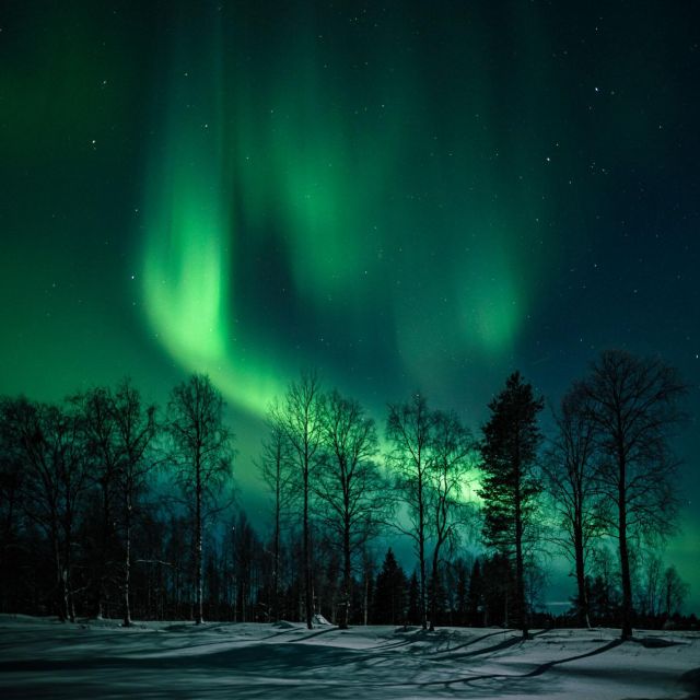 Rovaniemi: Northern Lights Hunt With a Photographer - Inclusions and Exclusions