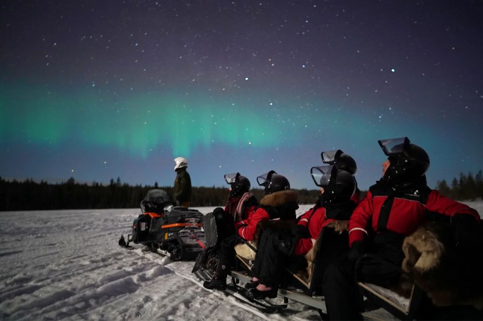 Rovaniemi: Northern Lights Sleigh Ride - Inclusions and Logistics