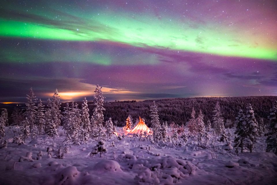 Rovaniemi: Northern Lights Wilderness Tour With Camera - Departure Times and Timings