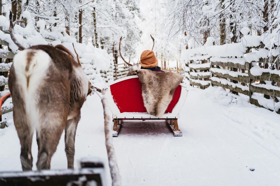 Rovaniemi: Snowmobile Safari, Reindeer & Husky Sleigh Ride - Inclusions and Exclusions