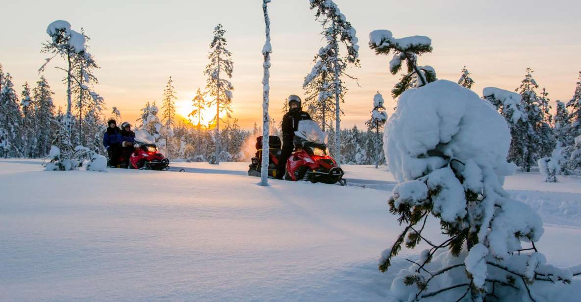 Rovaniemi: Snowmobile Safari to a Reindeer Farm - Reindeer Sleigh Ride Adventure