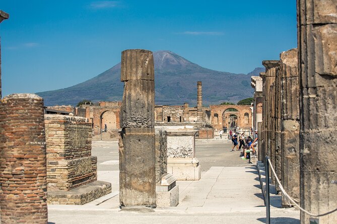 Ruins of Pompeii Guided Walking Tour With Skip the Line Ticket - Meeting Point and End Point