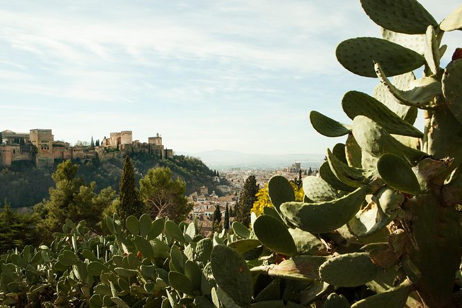 Sacromonte Granada Private Tour - Additional Information