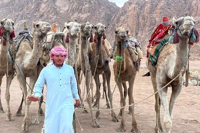 Safari Quads With Camel Ride & Star Gazing in Sharm El Sheikh - Pickup and Start Time