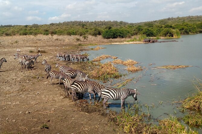 Safari Tour : Nairobi National Park - Booking and Cancellation Information