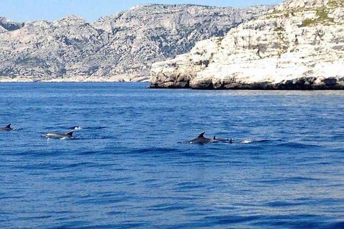 Sailing Day in the Heart of the Calanques - Traveler Policies