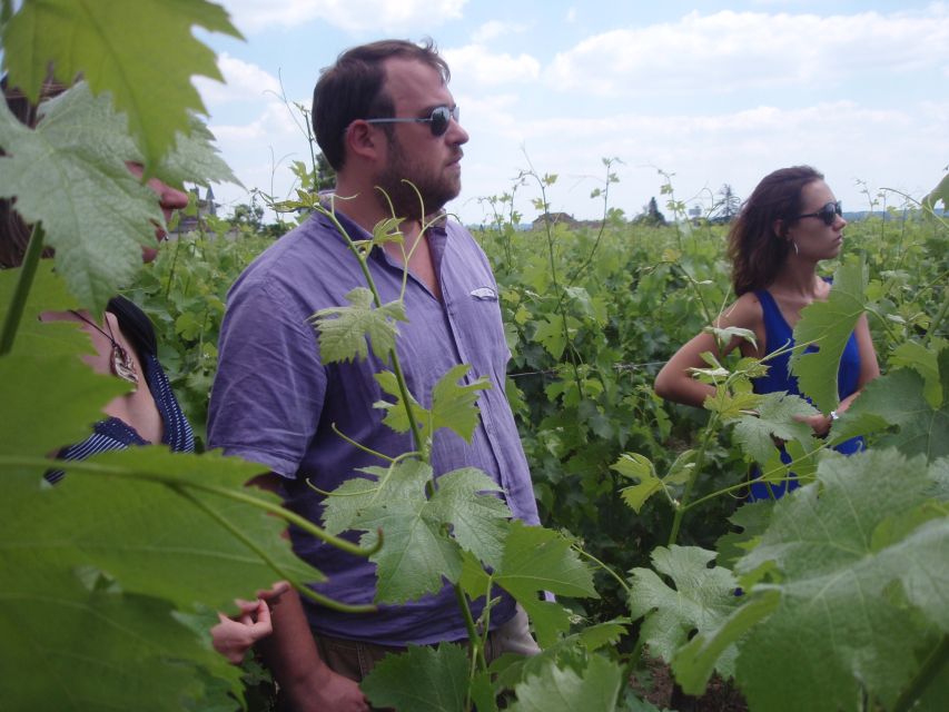 Saint-Émilion: Vineyard Walking Tour and Tasting - Key Details