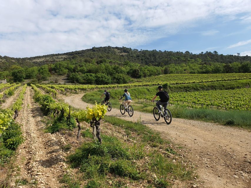 Saint Montan: Electric Bike Wine Tour & Tasting - Winemaker Tasting Experience