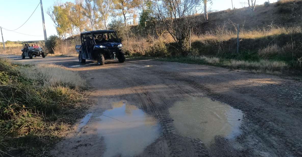 Salou: Buggy Safari With Hotel Transfer - Safety Precautions