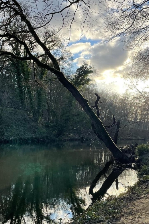 Saltaire: Full-Day Guided Walking Tour - Visit to Shipley Glenn