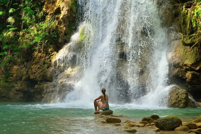 Samana, Waterfall El Limon, Bacardi Island, Whales Watching Group Excursion - Participant Experiences