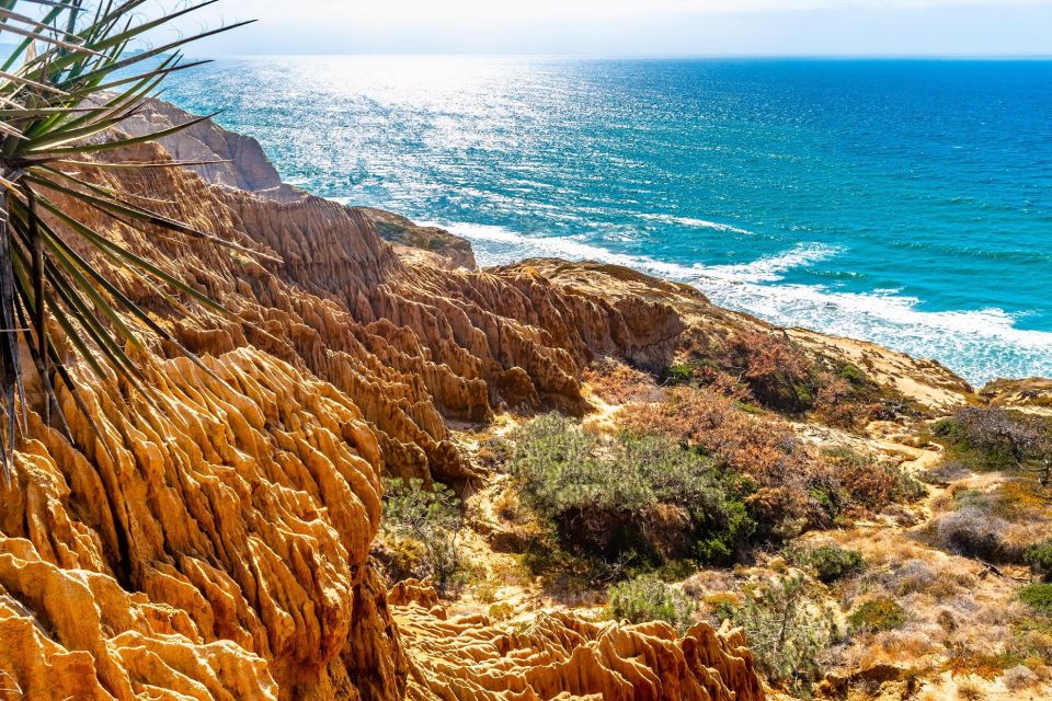 San Diego: Beaches & Bluffs Self-Guided Driving Tour - Local Insider Recommendations