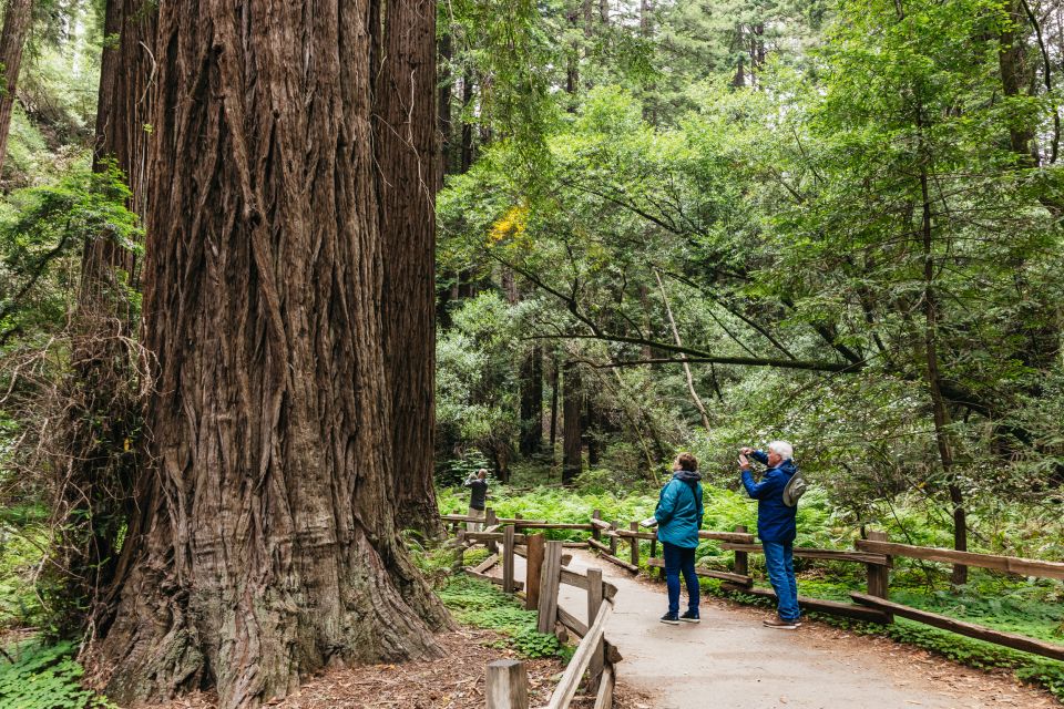 San Francisco: Muir Woods, Napa & Sonoma Valley Wine Tour - Winery Visits in Napa and Sonoma