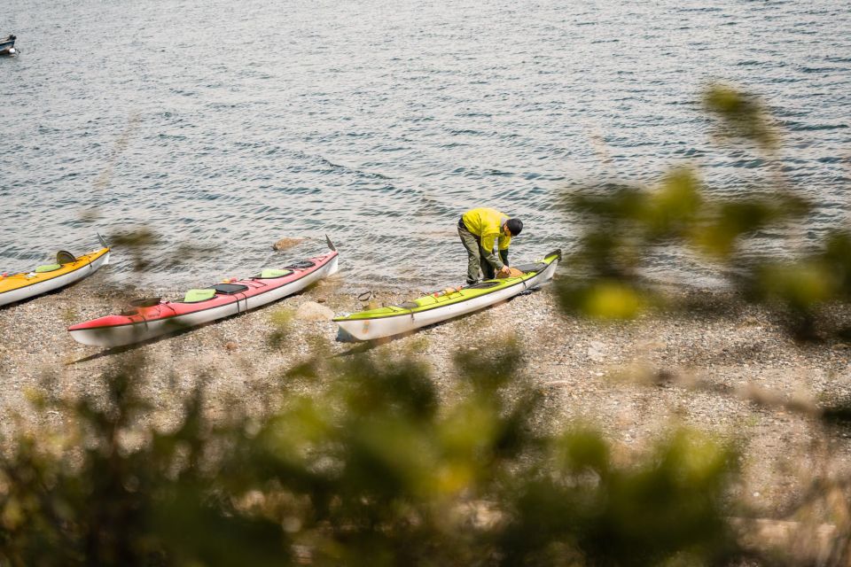 San Juan Island: 3-Hour Kayak Tour - Kayaking Experience