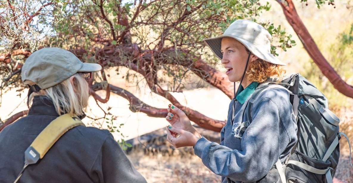 San Luis Obispo: Margarita Ranch Foraging Tour - Foraging for Nutrition and Wellness