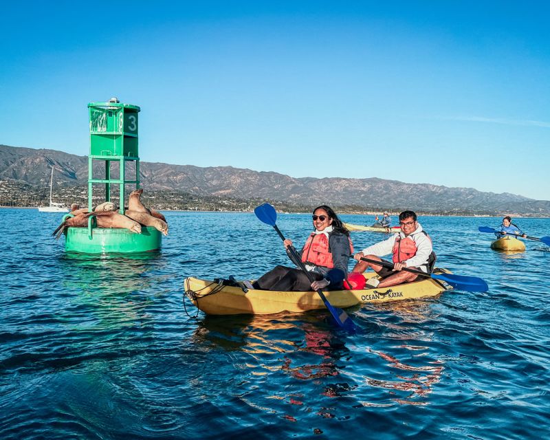 Santa Barbara: Guided Kayak Wildlife Tour - Wildlife Encounters