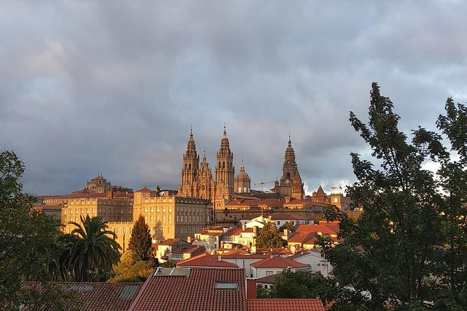 Santiago De Compostela & Viana Do Castelo From Porto - Traveler Feedback