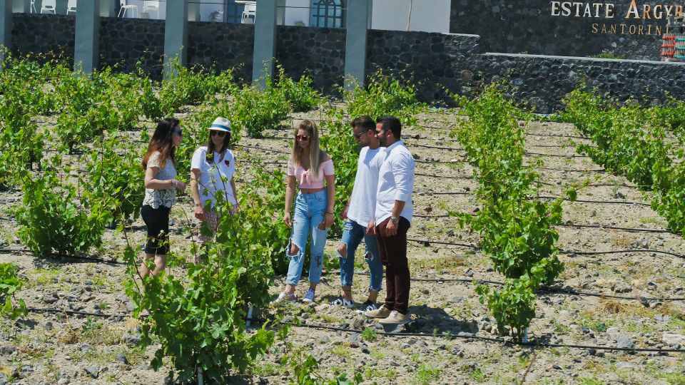 Santorini: Explore Southern Part With Wine Tasting - Tour Features