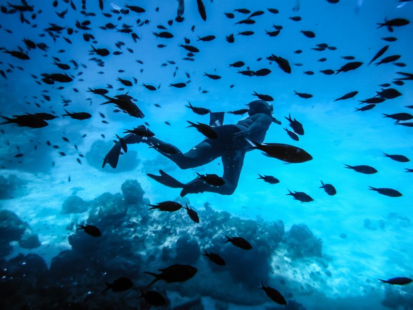 Santorini: Scuba Diving Experience for Beginners - Exploring Armenis Underwater Reef