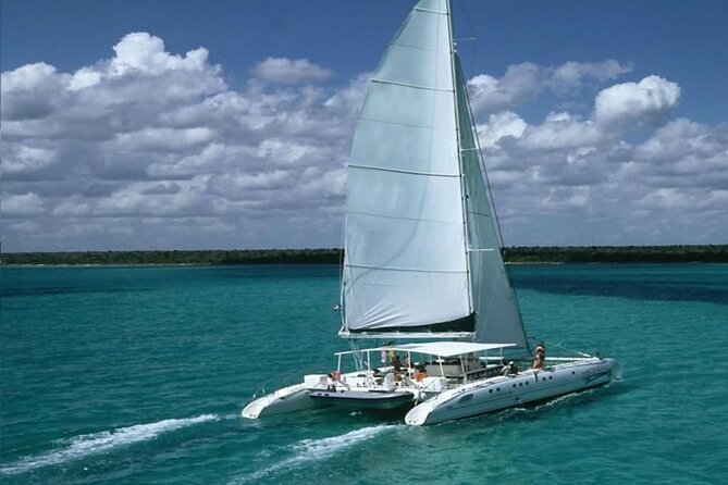 Saona Island From Punta Cana With Transportation and Lunch Included - Suitability and Accessibility