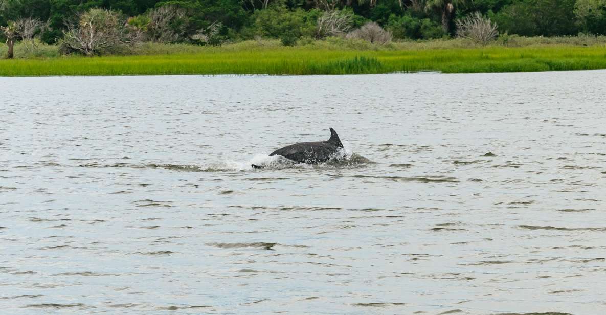 Savannah: Tybee Island Dolphin Tour - Itinerary Highlights