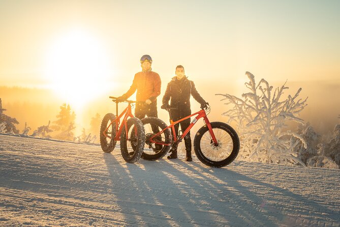 Scenic Electric Fat Bike Group Ride in Rovaniemi - Exploring Ounasvaara Hill