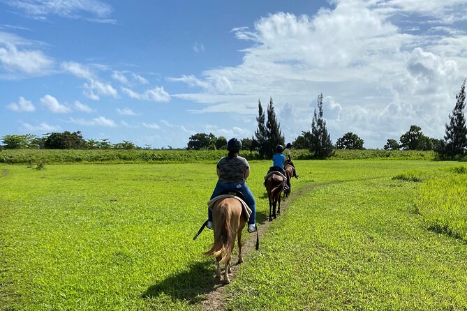 Scenic Horseback Riding Tour From San Juan - Activity Details