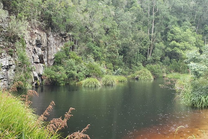 Scooter Tours Through Tsitsikamma National Park - Encountering Wild Baboons and Antelope