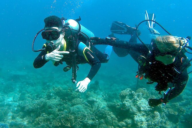 Scuba Diving for Beginners in Pula - Feedback and Reviews