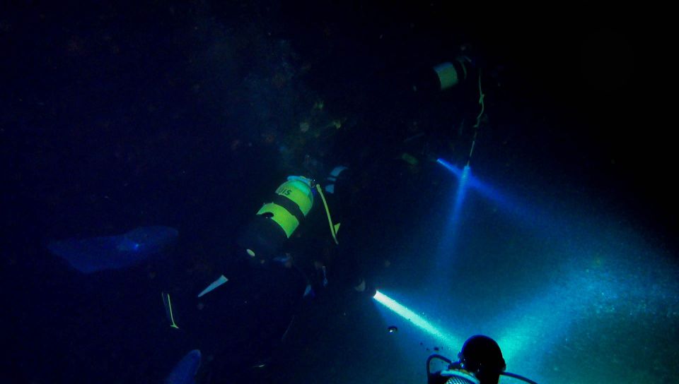 Scuba Night Dive on Tenerife - Learning and Skills