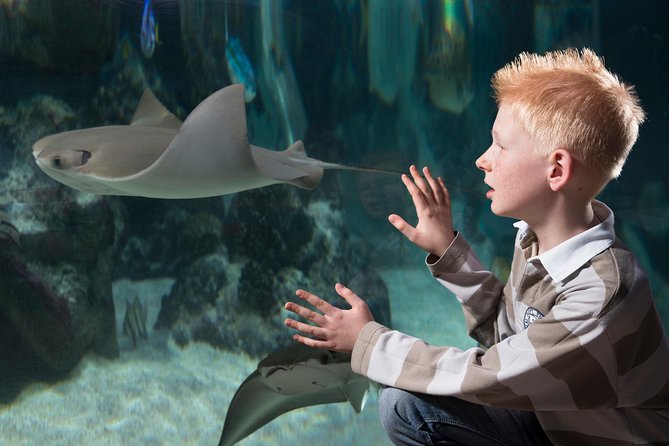 SEA LIFE Hannover Ticket - Transportation and Location