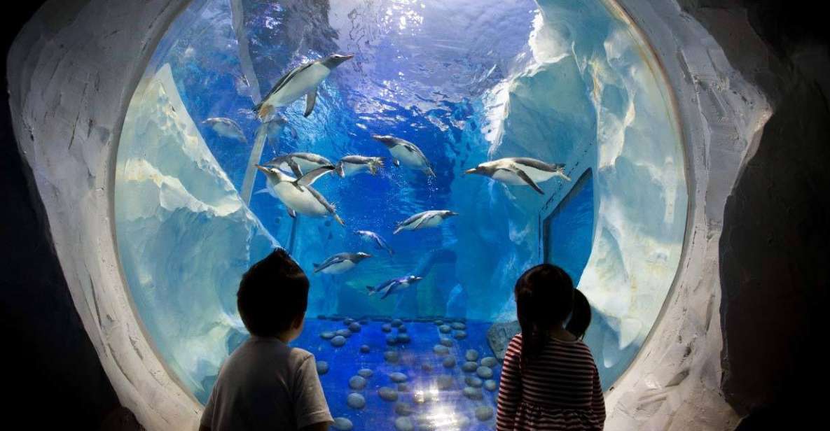 SEA LIFE Paris: Admission Ticket - Penguin and Turtle Encounters