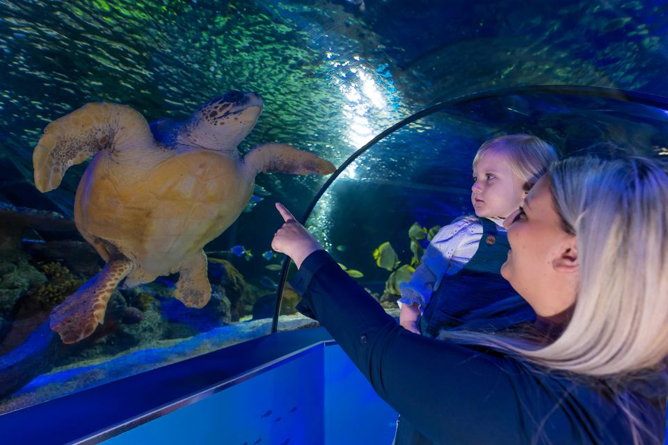 Sea Life Scarborough - Visitor Information