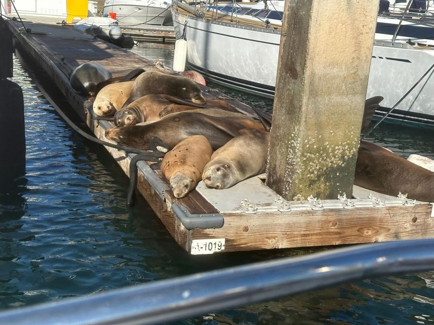 Sea Lion Excursion - Itinerary Details