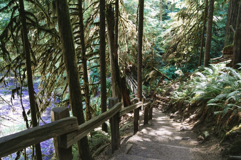 Seattle And Olympic NP Self-Guided Audio Bundle Tour - Maritime Legacy and Culture