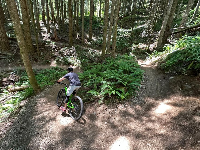 Seattle: Half Day All-Inclusive Mountain Bike Tour - Pickup and Drop-off Locations