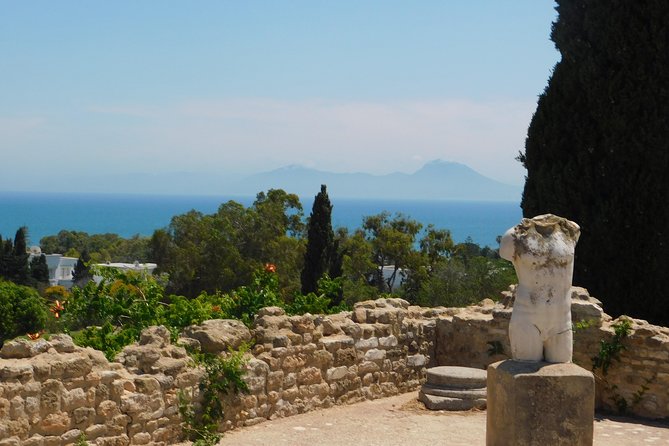 Self Guided Bike Tour of Carthage Archeological Site - Accessibility and Participation