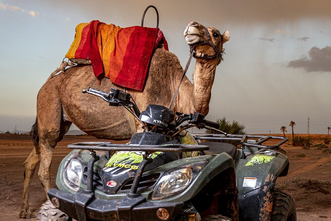 Sensational Quad and Camel Ride in the Palm Grove - Cancellation and Refund Policy