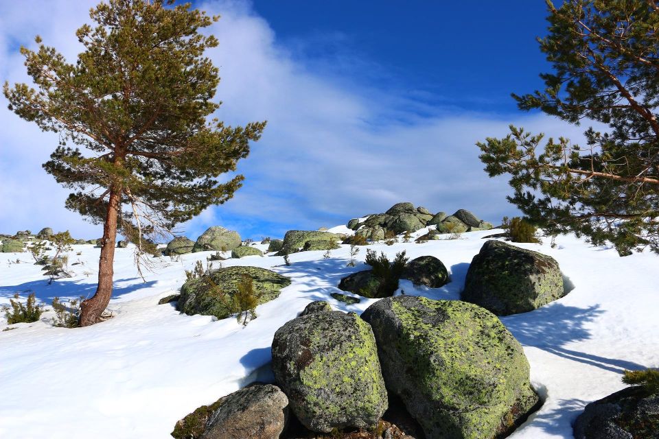 Serra Da Estrela Private Tour - Lively Market Experience